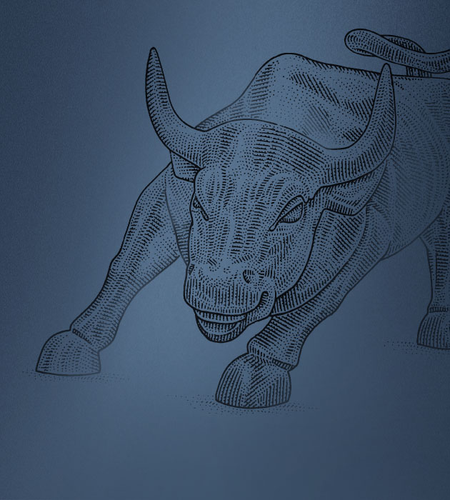 Image of a Bull.
